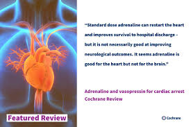 Sudden cardiac arrest (sca) leading to sudden cardiac death (scd) if not successfully resuscitated, refers to the unexpected collapse of circulatory. Featured Review Adrenaline And Vasopressin For Cardiac Arrest Cochrane