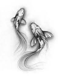Image Result For Black And White Beta Fish Tattoo Fish Sketch Koi Fish Drawing Koi Fish Sketch