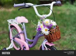 Metal baskets are reliable and sturdy, making them a good choice if you want to transport heavy loads or travel in all types of weather conditions. Children Bicycle Image Photo Free Trial Bigstock