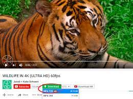 Made by teachers who understand the the realities of the classroom. Savefrom Net Helper All In 1 Youtube Downloader Get This Extension For Firefox En Us