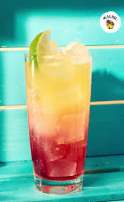 Home Made Orange Juice Orange Juice Hausgemachter Orangensaft Jus D Orange Fait Maison Ju In 2020 Alcohol Drink Recipes Fruity Alcohol Drinks Malibu Rum Drinks