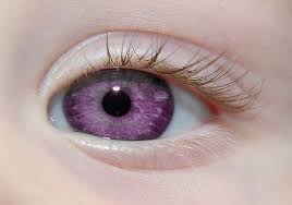Purple Eye By Lee251073 Via Flickr Violet Eyes Purple Eyes Alexandria Genesis