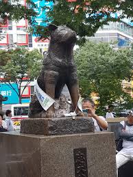 Woody allen's blue jasmine and more. Paying Homage To Hachiko Erasmus Blog Tokyo Japan