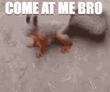 Come At Me Bro Gifs Tenor