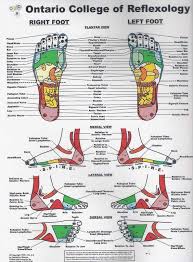 Image Detail For Reflexology Charts Can Come In All Shapes