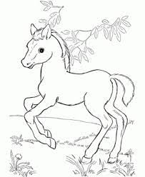 Baby horses coloring pages are a fun way for kids of all ages to develop creativity, focus, motor skills and color recognition. Baby Horse Coloring Pages Bestappsforkids Com