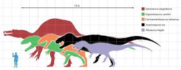 Giganotosaurus Vs T Rex Comparison Of Size Speed And