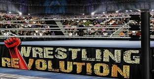 Unlocked all the heavyweight champion of wrestling . Wrestling Revolution 3d Mod Apk Unlocked Ocean Of Games