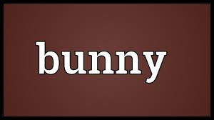 While rabbits do need time on their own occasionally, they dislike being rabbits are social animals, so a single rabbit is likely to feel lonely and depressed. Bunny Meaning Youtube
