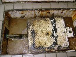 I Feel Sorry For The Grease Trap Cleaners I Wonder If They Work Overtime Grease Traps Cleaning Maintenance