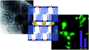 Gemini gemglo black walnut lacquer stain product details. Cationic Gemini Lipids Containing Polyoxyethylene Spacers As Improved Transfecting Agents Of Plasmid Dna In Cancer Cells Journal Of Materials Chemistry B Rsc Publishing