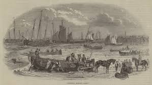 Bombay Mail-Steamer Carnatic ...