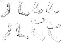 Forearm Person Template Drawing Templates Drawings