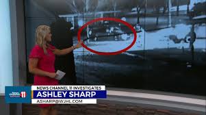 Abigail Wolfenberger