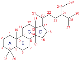 steroid wikipedia