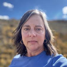 Our Team — DVM STAT Consulting