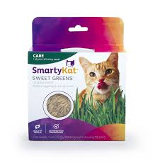 Smartykat Remarkable Product Available Now This Is An Affiliate Link And I Receive A Commission For The Sales Presents For Cat Grass Grow Kit Seed Kit