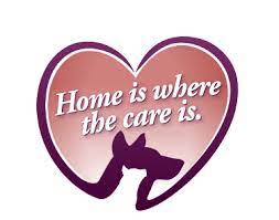 Broadway veterinary clinic & pet care center provides spay and neuter services for your furry loved ones. House Call Veterinary Service Tori Weston Bangor Me