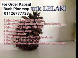 Jenis tanaman meranggas yang mudah sekali ditemui di indonesia ini sudah popule sejak dulu sebagai obat alami untuk berbagai penyakit. Nenas Batu Home Facebook