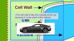 Maybe you would like to learn more about one of these? Plant Cell Analogy Project By Stanley Fairchild On Prezi Next