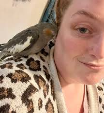 How to find a lost cockatiel in the Susquehanna area?