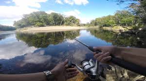 Take advantage of our last minute rio san juan hotel deals & offers top hotel picks in rio san juan: Al Sur De Punta Arenas Rio San Juan Patagonia Chilena Youtube