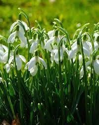 Pin On New England Four Season Landscaping