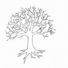 Here are the top 20 fun and simple shapes coloring pages printable to color and to engage your child's interest. Coloring Page Of A Tree Without Leaves Coloring Tree Coloring Page Tree Drawing Tree Outline