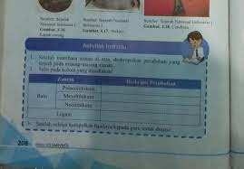 Jual produk buku detik detik ujian murah dan terlengkap maret 2020. Ips Kelas 7 Halaman 208 Brainly Co Id