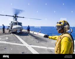 Image result for Medium Brown 2018 Fleet