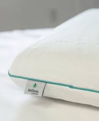 Sensorgel Sensorpedic Fresh Eucalyptus Infused Memory Foam Pillow Reviews Home Macy S Memory Foam Pillow Foam Pillows Memory Foam
