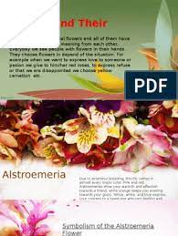 There are fifty flowers highlighted and the information and poetry is descriptive. Flowers And Their Meaning English Project Pdf Rose Flowers