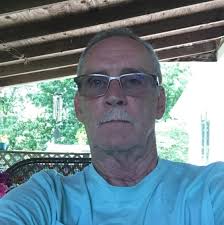 No brood in hive, should I order a new queen?