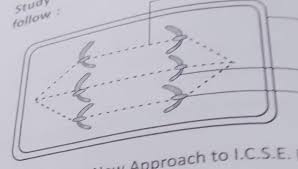 We did not find results for: 1 Identify The Stage Of Cells Division 2 Name The Parts Labelled A B C And D Brainly In