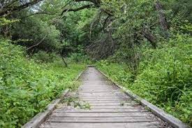 Wheelchair Accessible Trails And Trail Maps For Ada Access Traillink Com Traillink Plitvice Lakes National Park Maine Hiking New York State Parks