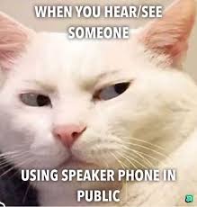 Cat Memes Clean Memes