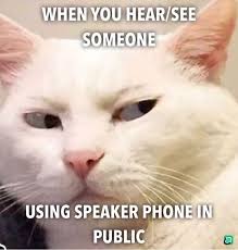 If you think thus, i'l t provide you finally if you wish to get unique and the recent image related to funny cat memes clean for kids, please follow us on google plus. Cat Memes Clean Memes