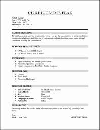 Your personal profile will either be a cv objective or a cv summary. Fant 225 Stico Descargar Muestras De Curr 237 Culums Para Freshers Curriculum Vitae Cv Curriculum Modelos De Curriculum Vitae