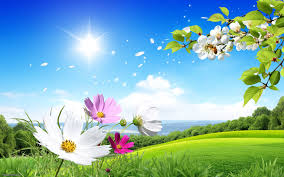 10 Latest Spring Nature Wallpapers High Resolution Full Hd 1080p For Pc Desktop Nature Desktop Wallpaper Wallpaper Nature Flowers Desktop Wallpaper Summer