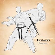 World taekwondo looks to the future with innovative virtual sparring. Fiore Tartaglia En Instagram Kani Basami Krebsschere Beinschere Zeichnung Aus Meinem Neuen B Shotokan Karate Karate Martial Arts Martial Arts Techniques