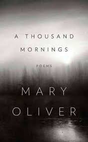 A Thousand Mornings With Poet Mary Oliver Mary Oliver Poetry Books Morning Poem