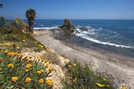 Utopia management is committed to delivering the highest level of expertise, customer service, and attention to detail to the management of your property. The Portabello Residence In Corona Del Mar
