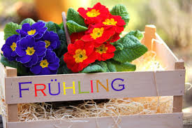 Hier erfahren sie alles zum frühlingsanfang. Fruhlingsanfang