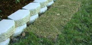 Laying Sod Over Existing Grass Today S Homeowner Grass Sod How To Remove Grass
