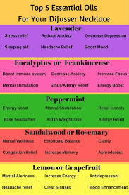 5 Must Have Essential Oils For Your Aromatherapy Necklace Or Home Diff Essential Oils Aromatherapy Best Essential Oils Essential Oils