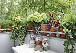 Gräser und farne lieben es schattig und etwas feucht, auch buntnesseln schätzen den vollschatten.kletterpflanzen ranken sich auch auf nordbalkonen ganzjährig nach oben. Endlich Wieder Zeit Fur Etwas Buntes Auf Balkon Und Terrasse Gardomat