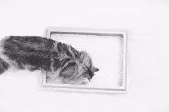 4:26 preview a whiter shade of pale. Best Helge Schneider Gifs Gfycat