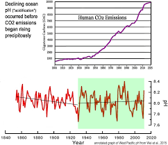 Analysis Finds Oceans Have Become Less Acidic With Rising