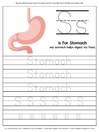 Get free kindergarten worksheets to help your child master key skills like the alphabet, basic sight words, and basic addition. Human Body Worksheets For Kindergarten Up