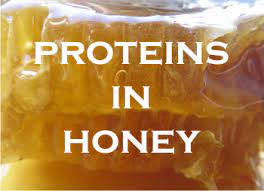 Proteins In Honey
